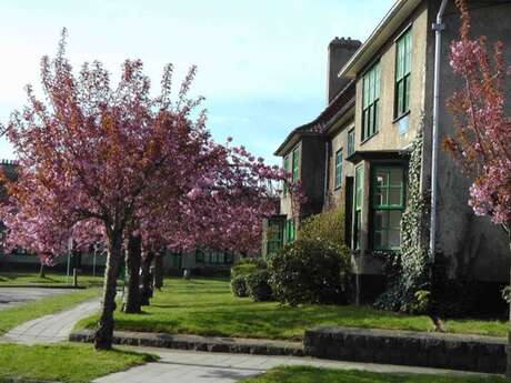 Cherry, logement meublé