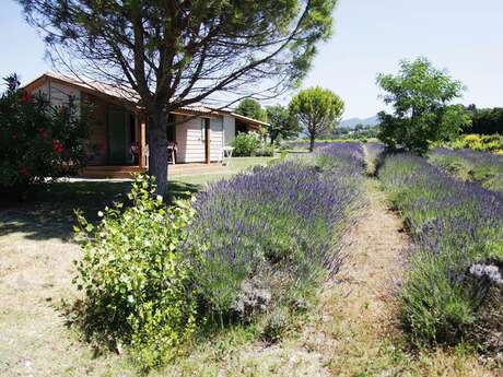 Domaine des Bridoux Domaine des Bridoux