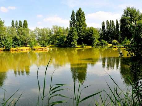 Parc de la gare d'eau