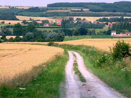 Sentier de randonnée "les prêles de bajus"