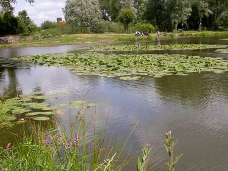 Le Marais d'Annezin