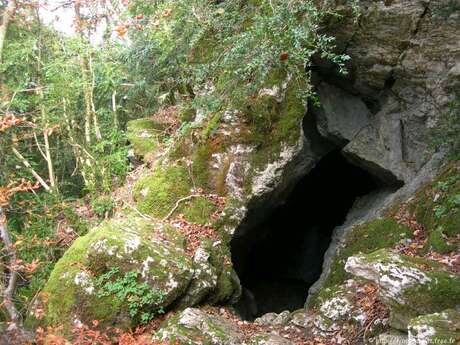 Grotte à l'ours Grotte à l'ours