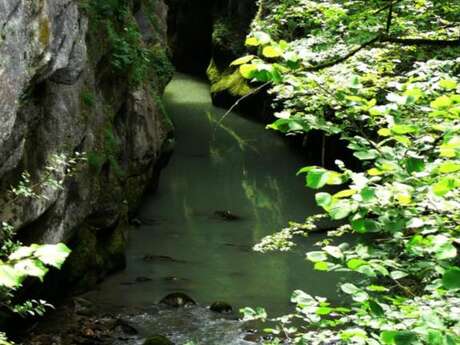 Les gorges du Guiers vif Les gorges du Guiers vif