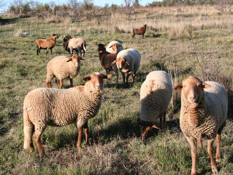 Les Jardins Biodynamiques Les Jardins Biodynamiques