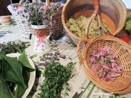 Cueillette et cuisine des plantes sauvages Cueillette et cuisine des plantes sauvages