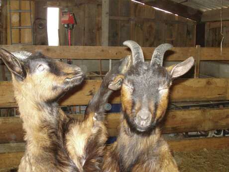 La Ferme des Couderies La Ferme des Couderies