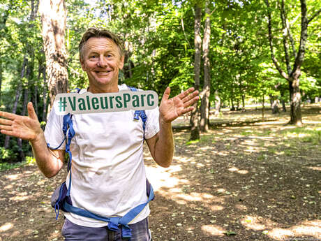 La flore provençale et ses usages - Naturelles Balades