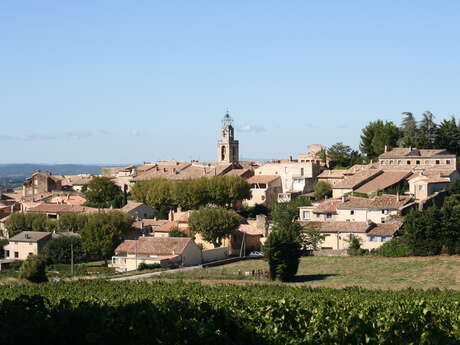 Visan Visan