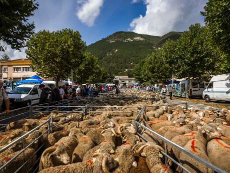 Foire Agricole Foire Agricole