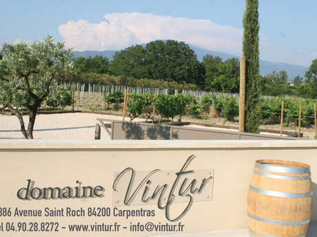 Visite guidée du vignoble et de la cave - Domaine Vintur Visite guidée du vignoble et de la cave - Domaine Vintur