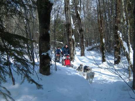 Initiation au mushing dans la vallée du Haut Bréda Initiation au mushing dans la vallée du Haut Bréda