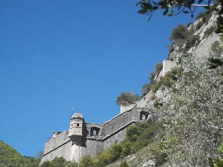 Les Oliveraies Les Oliveraies