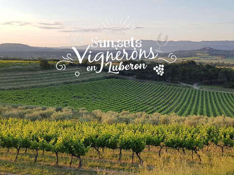 Sunsets Vignerons 2021 au Domaine La Tuilière Sunsets Vignerons 2021 au Domaine La Tuilière