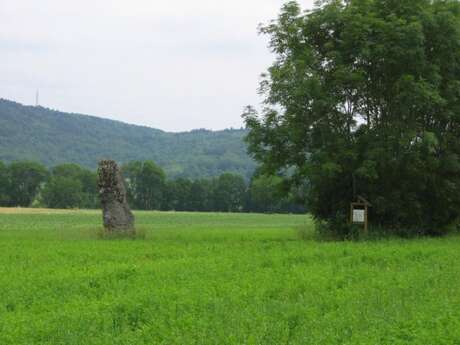 Menhir de pierre Menhir de pierre