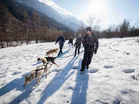 Escapade cani-raquettes Escapade cani-raquettes