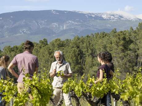 Domaine Childeric Domaine Childeric