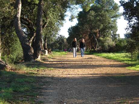 La promenade de la Garenne La promenade de la Garenne