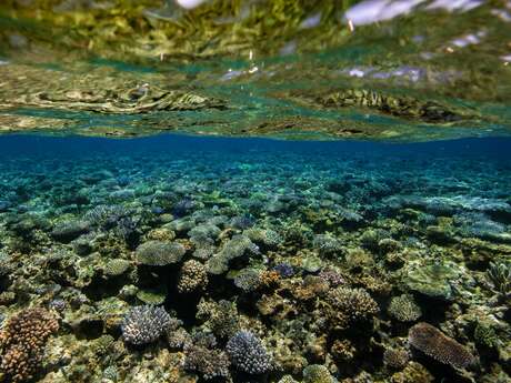 Plongée découverte - Bourail Aquadiving Plongée découverte - Bourail Aquadiving