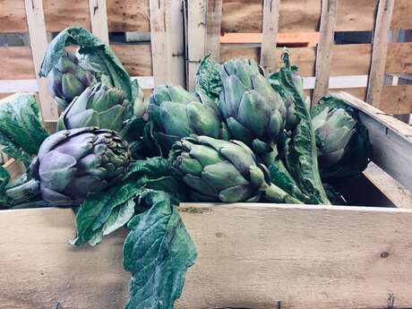Ferme Mazzali