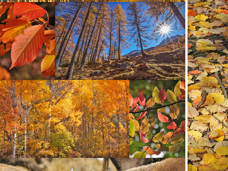 Les ateliers de l'image Fred Malguy Les ateliers de l'image Fred Malguy