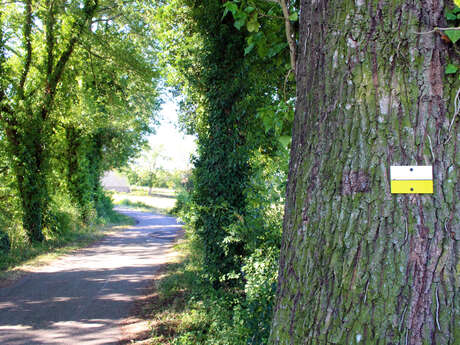 Sentier Les baladins à pied Sentier Les baladins à pied