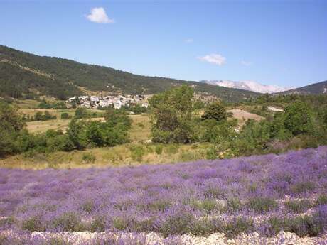 Bleu d'Argens Bleu d'Argens