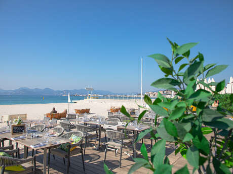 Plage Vegaluna Plage Vegaluna