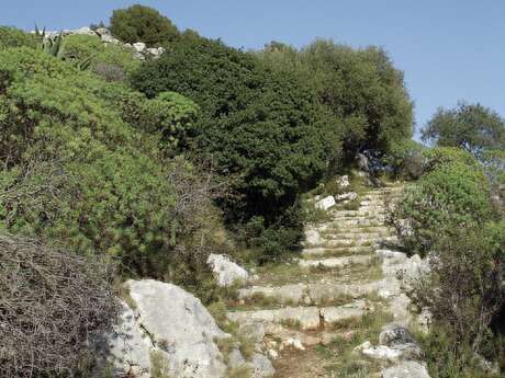L'Oppidum du Mont des Mules L'Oppidum du Mont des Mules