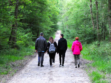Forêt de Montpensier Forêt de Montpensier