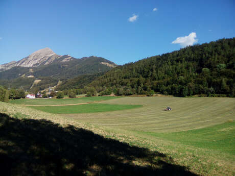 L'agriculture du Champsaur L'agriculture du Champsaur