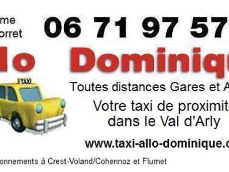Taxi Allo Dominique Taxi Allo Dominique