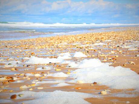 Beach of la Grange Beach of la Grange