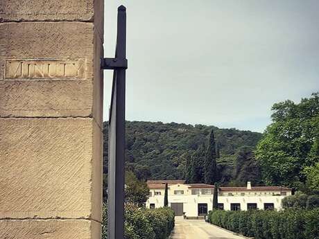 Vineyard Château Minuty Vineyard Château Minuty