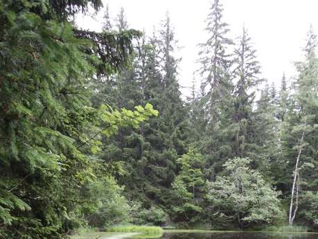 Espace Naturel Sensible de la forêt du Bout et Combe Grasse Espace Naturel Sensible de la forêt du Bout et Combe Grasse