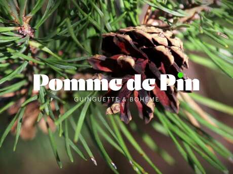 Pomme de pin pub Pomme de pin pub