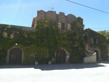 Château Salettes Château Salettes