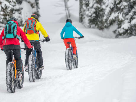 Fatbike Fatbike