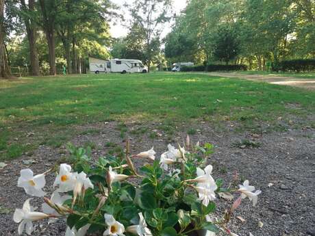 Camping municipal La Plage du Cher Camping municipal La Plage du Cher