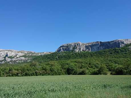 The Sainte Baume mountains The Sainte Baume mountains