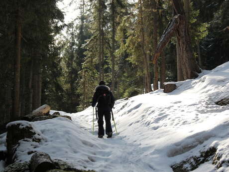 Bisse des Ravines Bisse des Ravines