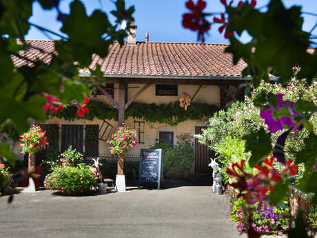 Ferme des Pampilles Ferme des Pampilles