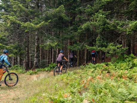 Circuit n°22 VTT – Initiatique Circuit n°22 VTT – Initiatique