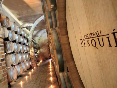 Introduction to tasting at Château Pesquié Introduction to tasting at Château Pesquié