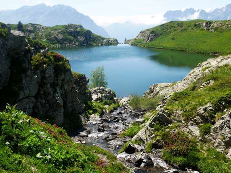 Lower lakes Lower lakes