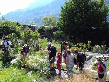 Visites du jardin historique de Mont-Dauphin Visites du jardin historique de Mont-Dauphin