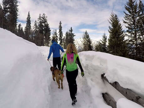 Winter trail Winter trail