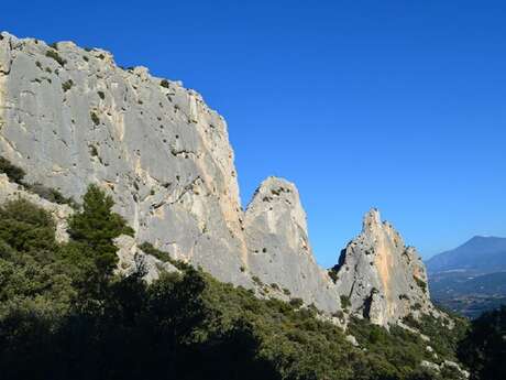 Dentelles de Montmirail Dentelles de Montmirail