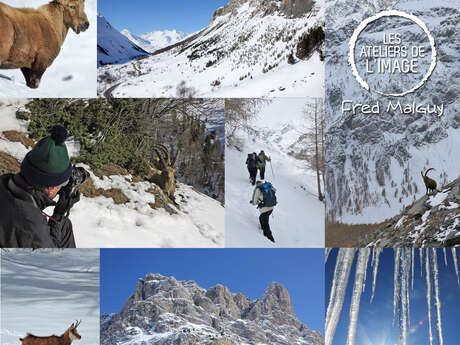 Trésors de l'Hiver- Safaris Pleine Nature - Fred Malguy Trésors de l'Hiver- Safaris Pleine Nature - Fred Malguy