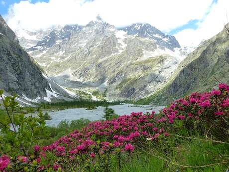 Sortie glaciologie : Le glacier blanc Sortie glaciologie : Le glacier blanc