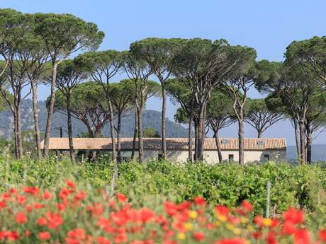 Domaine des Féraud Domaine des Féraud